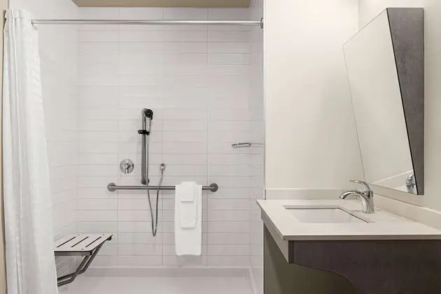 Oda, 1 Büyük (Queen) Boy Yatak, Engellilere Uygun, Sigara İçilmez (Mobility, Roll-In Shower)