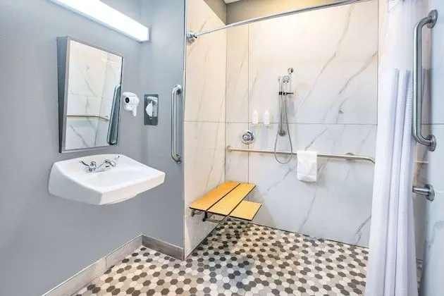 Oda, 1 Büyük (Queen) Boy Yatak, Engellilere Uygun, Sigara İçilmez (Mobility/Hearing, Roll-In Shower)
