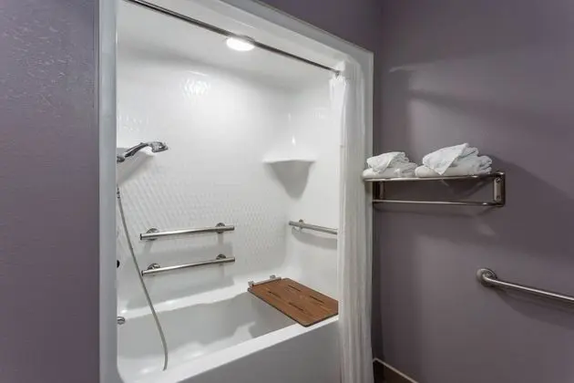 Oda, 1 Büyük (Queen) Boy Yatak, Engellilere Uygun, Sigara İçilmez (Mobility, tub w/ grab bars)