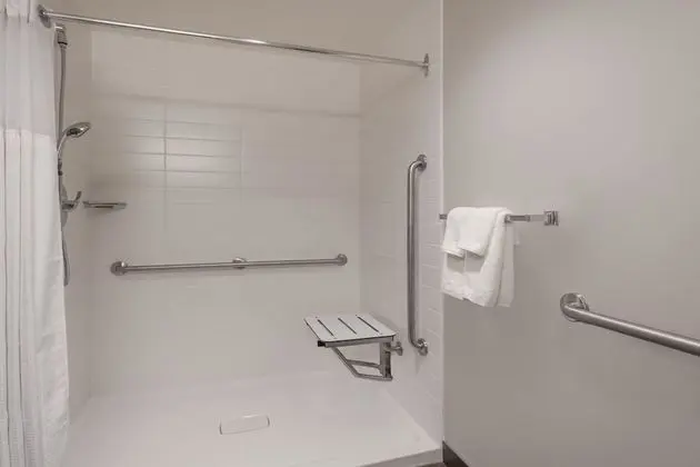 Room, 1 Queen Bed, Accessible (Walk in Shower)