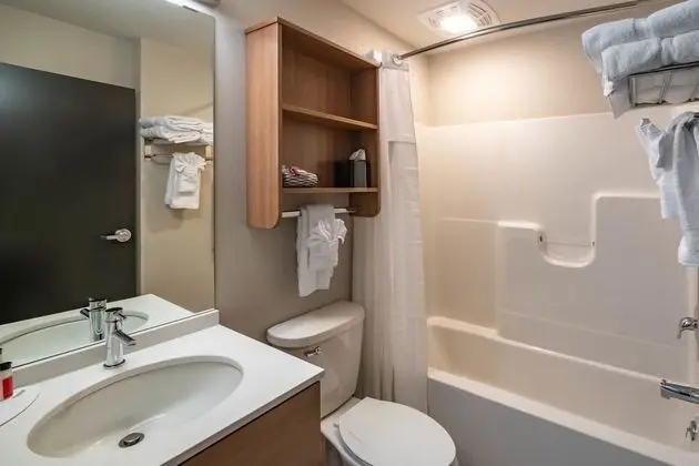 Studio Suite, 1 Queen Bed with Sofa Bed, Non Smoking