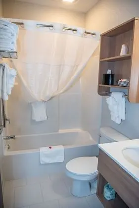 Studio Suite, 1 Queen Bed with Sofa Bed, Non Smoking