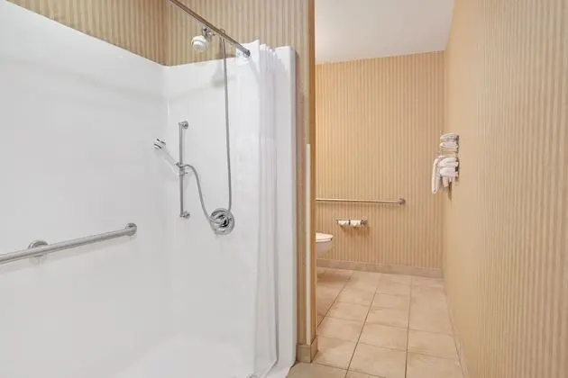 Oda, 1 En Büyük (King) Boy Yatak, Engellilere Uygun, Sigara İçilmez (Mobility/Roll-In Shower)