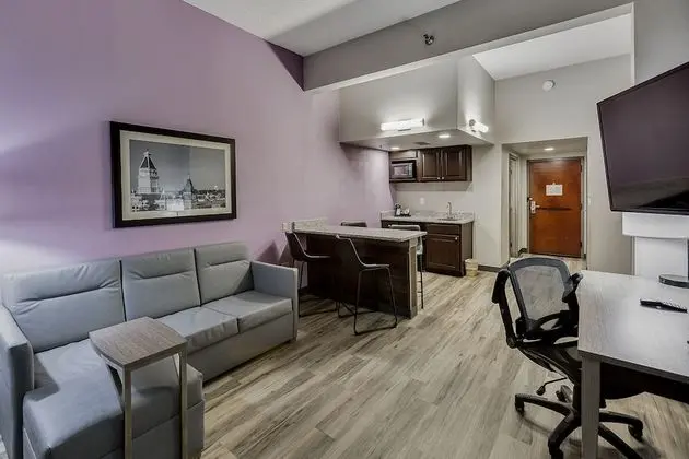 Executive Süit, 1 Yatak Odası, Sigara İçilmez