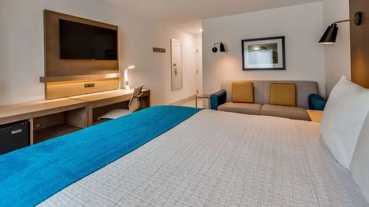 Standard Oda, 1 En Büyük (King) Boy Yatak, Engellilere Uygun, Sigara İçilmez (Walk-in Shower)