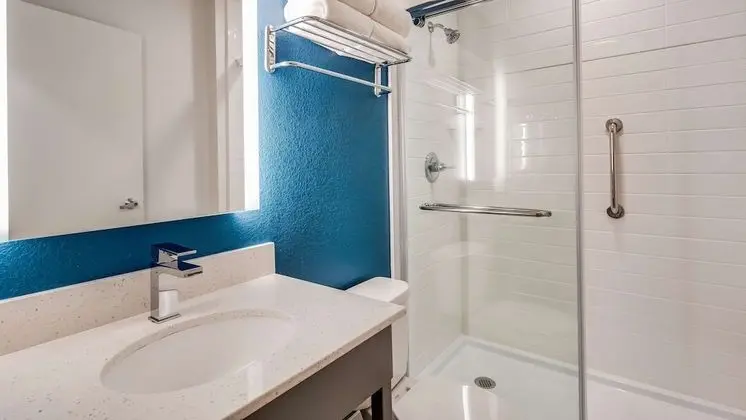 Standard Oda, 1 En Büyük (King) Boy Yatak, Engellilere Uygun, Sigara İçilmez (Walk-in Shower)