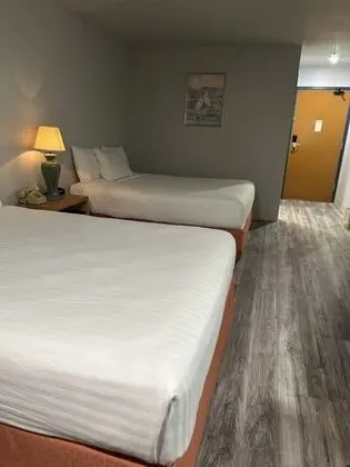 Oda, 2 Büyük (Queen) Boy Yatak, Engellilere Uygun, Sigara İçilmez (Mobility Accessible)