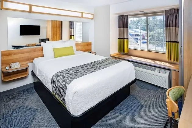 Oda, 1 Büyük (Queen) Boy Yatak, Engellilere Uygun, Sigara İçilmez (Roll-In Shower)