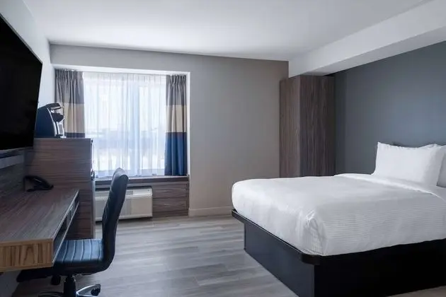 Oda, 1 En Büyük (King) Boy Yatak, Engellilere Uygun, Sigara İçilmez (Mobility Roll-In Shower)