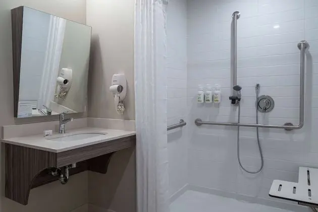 Oda, 1 En Büyük (King) Boy Yatak, Engellilere Uygun, Sigara İçilmez (Mobility Roll-In Shower)