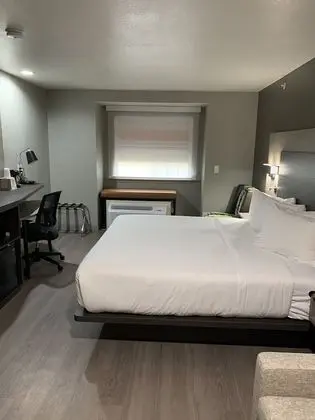 Süit, 1 En Büyük (King) Boy Yatak, Sigara İçilmez