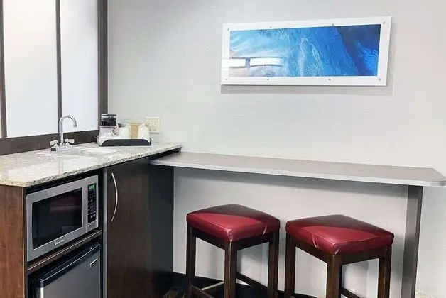 Deluxe Stüdyo Süit, 1 En Büyük (King) Boy Yatak, Sigara İçilmez