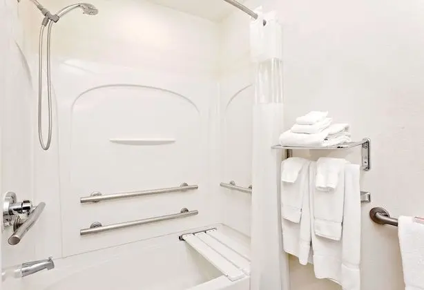 Oda, 1 Büyük (Queen) Boy Yatak, Engellilere Uygun, Sigara İçilmez (Mobility/Hearing, Roll-In Shower)