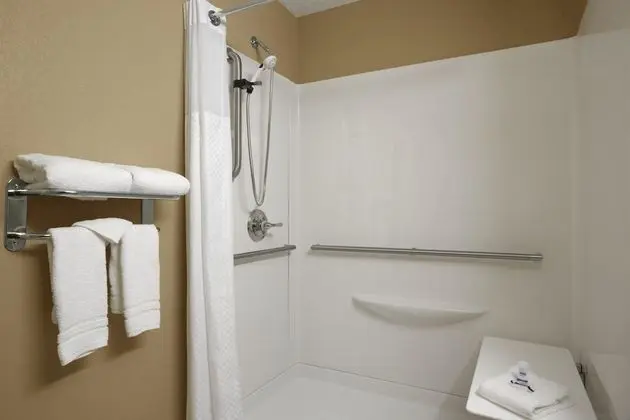 Oda, 1 Büyük (Queen) Boy Yatak, Engellilere Uygun, Sigara İçilmez (Mobility,Roll-In Shower)