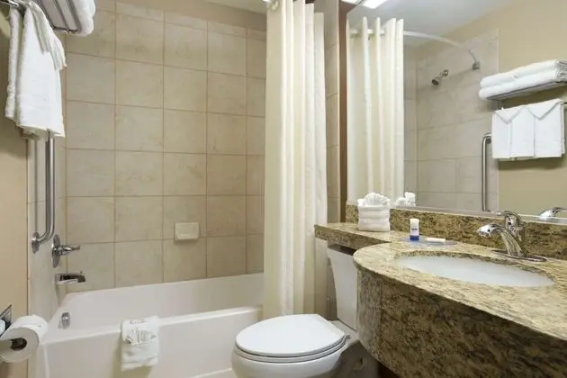 Oda, 1 Büyük (Queen) Boy Yatak, Engellilere Uygun, Sigara İçilmez (Mobility/Hearing, Roll-In Shower)