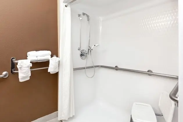 Deluxe Stüdyo Süit, 1 Büyük (Queen) Boy Yatak, Engellilere Uygun, Sigara İçilmez (Mobility)