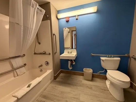 Engellilere uygun banyo