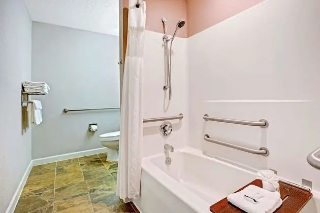 Deluxe Stüdyo, 1 En Büyük (King) Boy Yatak, Sigara İçilmez