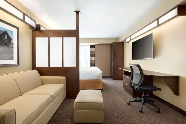 Business Süit, 1 Büyük (Queen) Boy Yatak, Sigara İçilmez, Buzdolabı ve Mikrodalga (Sofa bed)
