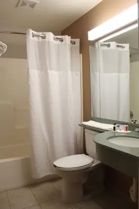 Deluxe Oda, 2 Büyük (Queen) Boy Yatak, Sigara İçilmez