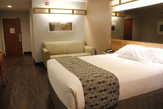 Stüdyo Süit, 1 Büyük (Queen) Boy Yatak, Engellilere Uygun, Sigara İçilmez