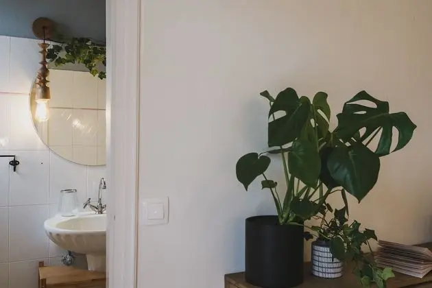Villa, 4 Yatak Odası