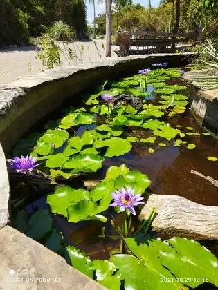 Ortak Ranzalı Oda, 1 Yatak Odası, Balkon
