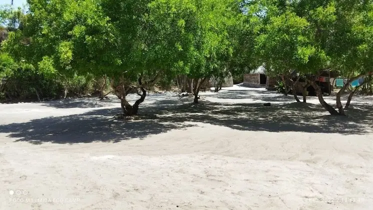Ortak Ranzalı Oda, 1 Yatak Odası
