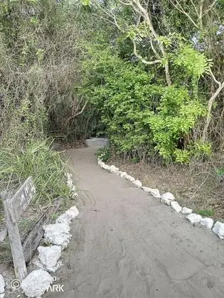 Oda, 1 Yatak Odası, Balkon