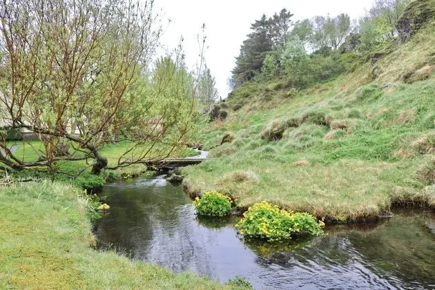 Apart Daire, 1 Yatak Odası (Molakot)