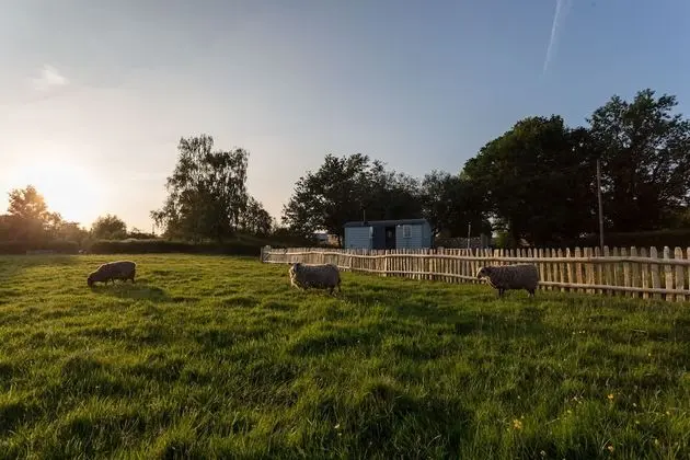 Shepherd's Hut