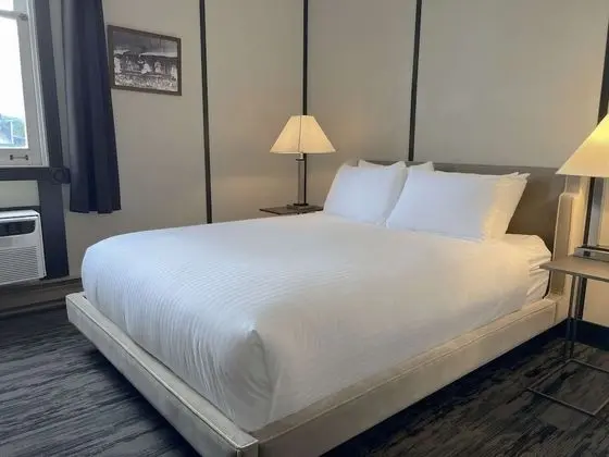 Premium Oda, 1 En Büyük (King) Boy Yatak (Coast)