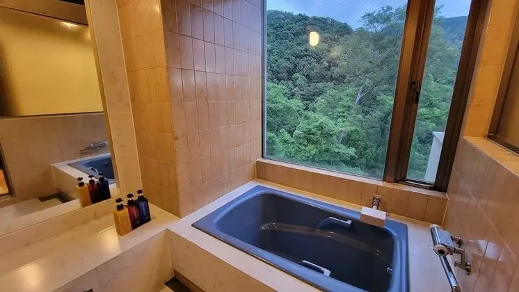 Family Oda, Özel Banyo, Dağ Manzaralı