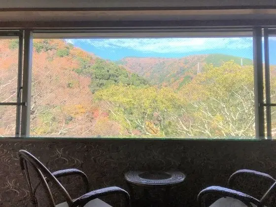 Oda, Banyolu/Duşlu, Dağ Manzaralı (Japanese-style Room)