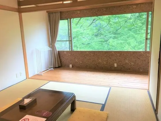 Standard Oda, Dağ Manzaralı (Japanese-style Room, 2-4 people)