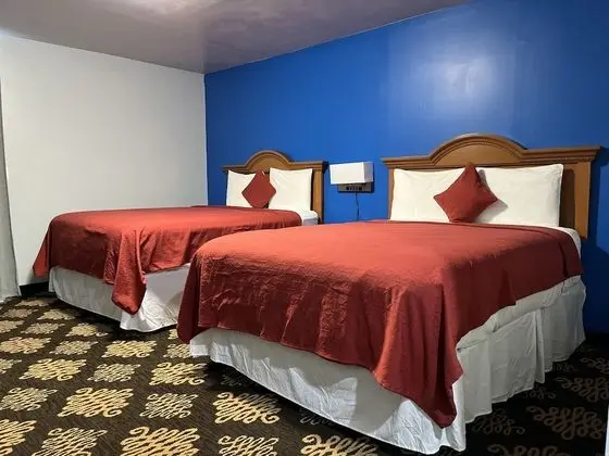 Comfort Büyük Yataklı Tek Kişilik Oda