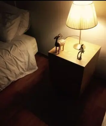 Ev