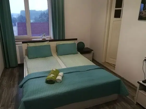 Tek Büyük Yataklı Oda, 1 Büyük (Queen) Boy Yatak, Özel Banyo (1)