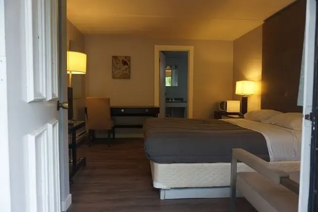 Deluxe Tek Kişilik Oda