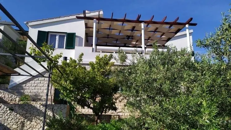 Apart Daire (Miki - 25 m from crystal clear sea - )