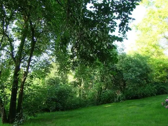 Kır Evi (Two Bedroom Country House)
