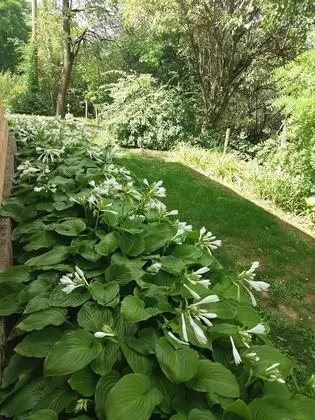 Kır Evi (Two Bedroom Country House)