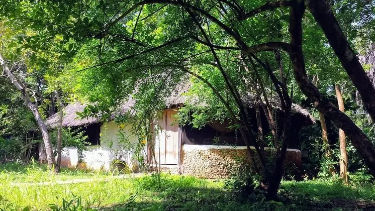 Classic Dağ Evi, Banyolu/Duşlu, Bahçe Manzaralı
