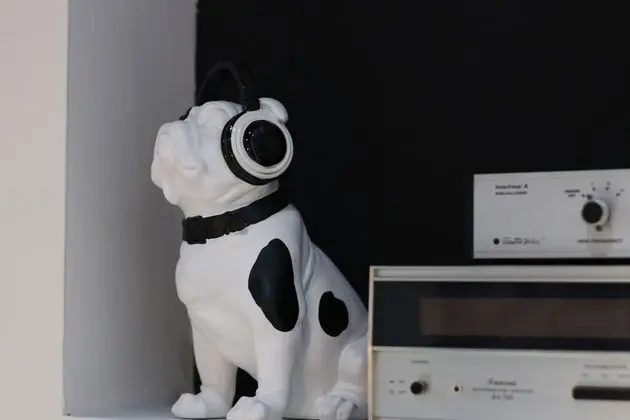 Tek Büyük Yataklı Oda, Banyolu/Duşlu