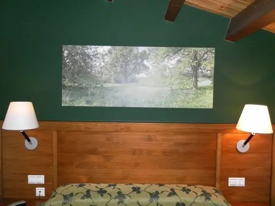 Superior Tek Büyük Yataklı Oda, 1 Çift Kişilik Yatak