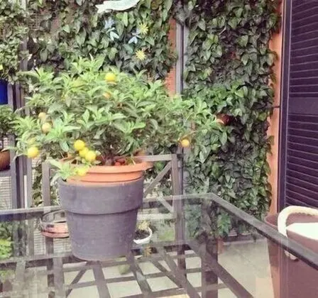 Apart Daire (Navigli)