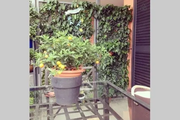 Apart Daire (Navigli)