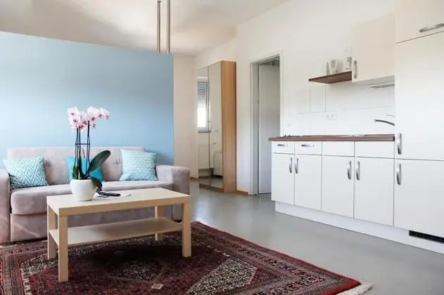 Deluxe Apart Daire, 1 Yatak Odası, Sigara İçilmez, Küçük Mutfak