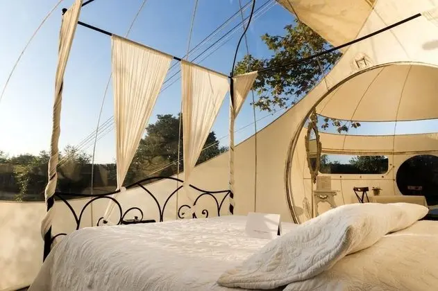 Oda (Bubble Jardín)