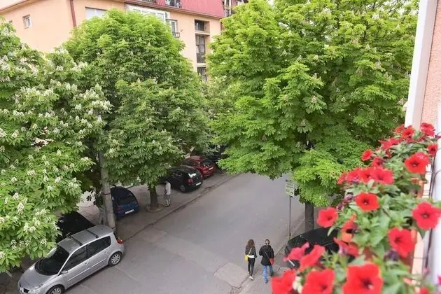 Stüdyo, Birden Çok Yatak